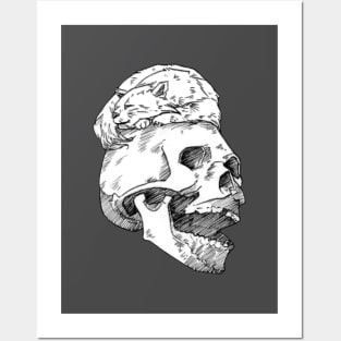 Skull and cat Posters and Art